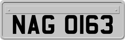 NAG0163