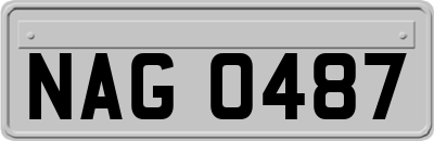 NAG0487