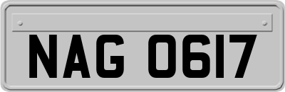 NAG0617