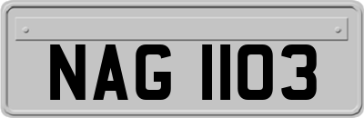 NAG1103