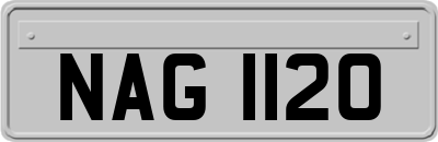 NAG1120