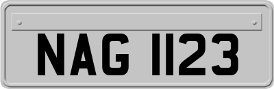 NAG1123
