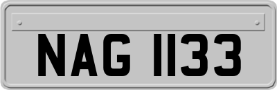 NAG1133