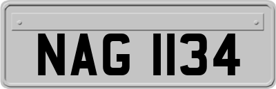 NAG1134