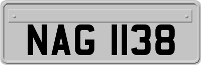 NAG1138