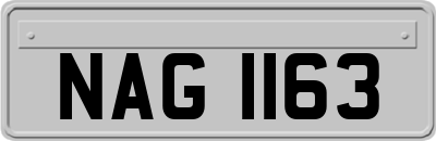 NAG1163