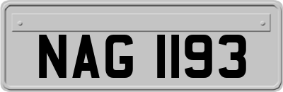 NAG1193