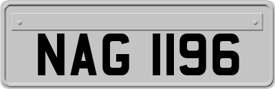 NAG1196