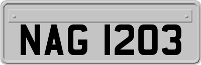 NAG1203