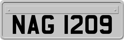 NAG1209