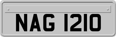 NAG1210