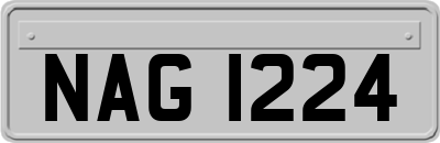 NAG1224