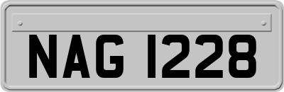 NAG1228