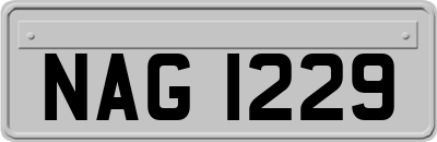 NAG1229