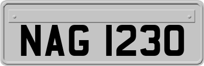 NAG1230