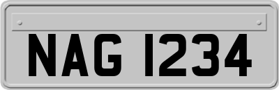 NAG1234