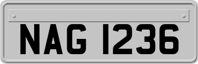 NAG1236