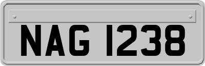 NAG1238