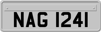 NAG1241