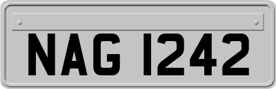 NAG1242