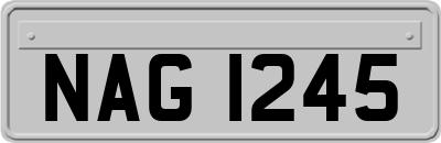 NAG1245