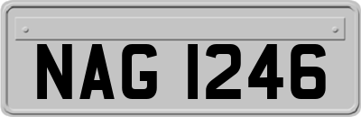 NAG1246