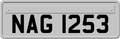 NAG1253