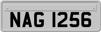 NAG1256