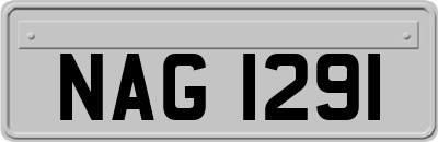 NAG1291