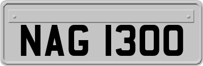 NAG1300