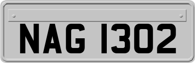 NAG1302