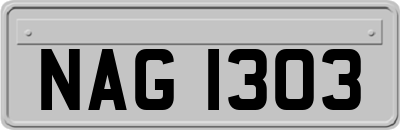 NAG1303