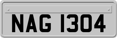 NAG1304