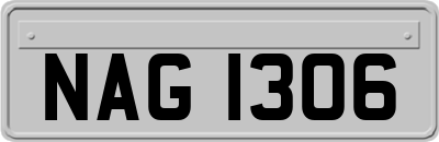 NAG1306