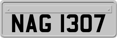 NAG1307