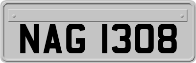 NAG1308