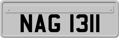 NAG1311