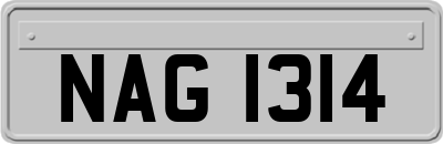 NAG1314