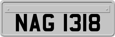 NAG1318