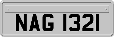 NAG1321