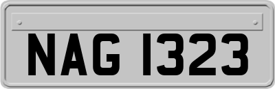 NAG1323