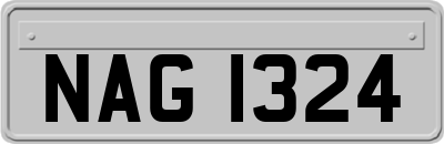 NAG1324