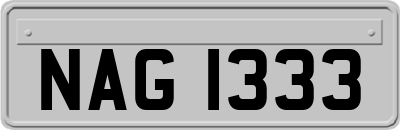 NAG1333