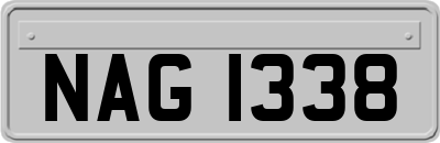 NAG1338