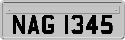 NAG1345