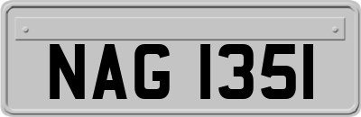 NAG1351