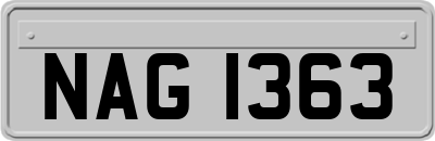 NAG1363