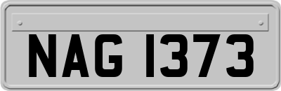 NAG1373