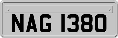 NAG1380