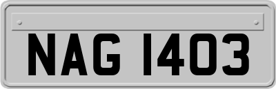 NAG1403